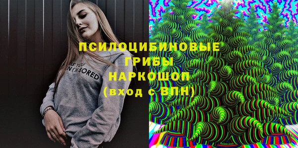 винт Горно-Алтайск