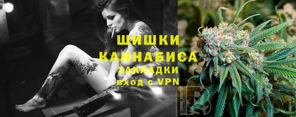 винт Горно-Алтайск