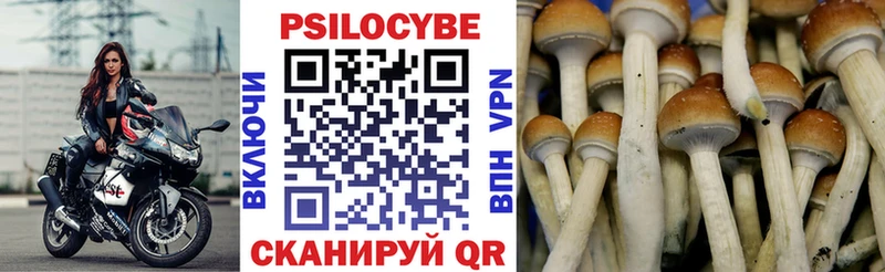 Псилоцибиновые грибы ЛСД  Купить где  Новопавловск 